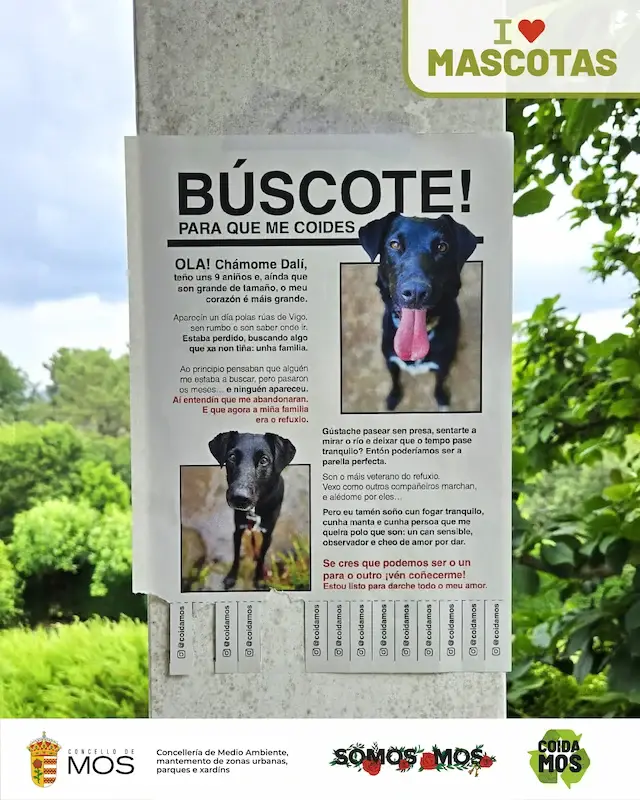 mos_ilovemascotas_campaña2