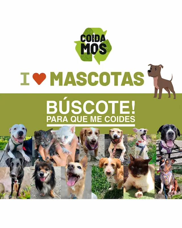mos_ilovemascotas_cartel